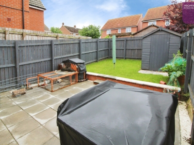 Picture 12